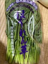 頂山 ほうれん草