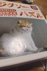 元林 ジグソーパズル 108ピース 猫