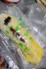 針塚 白菜こうじ漬