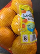 名織 とぴあみかん 1P