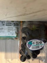 大坂屋 種なし巨峰 350g