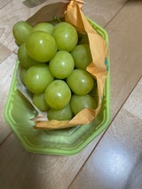 全農長野 シャインマスカット 1房