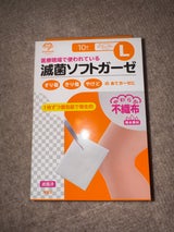 大衛 滅菌ソフトガーゼ L 10枚