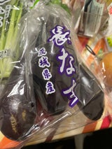 カルゲン会 長なす