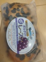 フジナチュラル ポルテ21 レーズン 1個