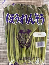 JA加美よつば ほうれんそう
