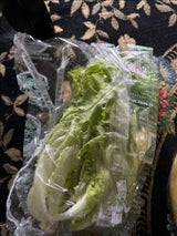 JFE ピュアベール 1P