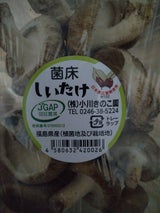 小川きのこ園 菌床椎茸 A品
