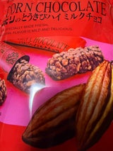 ホリ とうきびハイミルクチョコ 10本