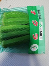 JA 柳川オクラ