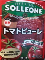 日欧商事 ソルレオーネ パッサータテトラ 390g