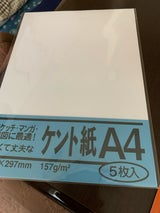 菅公 ケント紙 A4 べ051 5枚
