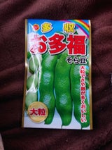 アタリヤ 多収 お多福 そら豆
