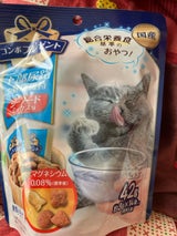 コンボPキャット おやつ 猫下部尿路 42g