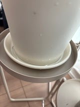 アップルウェアー コティプレート ホワイト 160