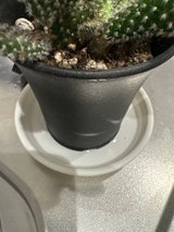 大和プラスチック グロウプレート12型 ホワイト