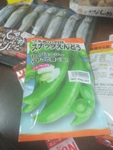日本農産 スナップえんどうつるあり白花 1P