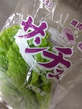 大阪泉州 サンチュ