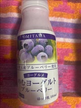 美野里 のむヨーグルトブルーベリー 180ml