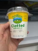 中沢 クロテッドクリーム 100g