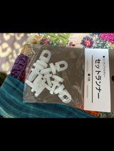 フジマサ セットランナー 8P