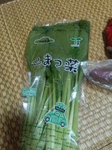 アドバンス 茨城県産こまつな 1P