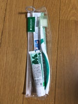 デンティス トラベルセット 20g