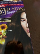 ウエラトーン2+1 クリームタイプ 4B 120g