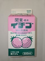 栃木 関東栃木イチゴ 500ml