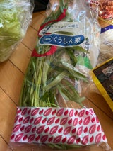 サンスイ くうしん菜 100g