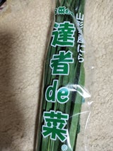 JA山形 達者de菜 にら 100g