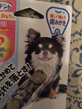 ハーツ デンタル ボーン ミニ ソフト(3k未満)