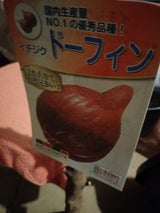 KYK ラクラククーラント 赤 2L