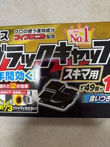 アース ブラックキャップ スキマ用 16個