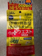 メタプラス ウエストマックス31日分 93粒