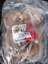 シーテック 菌床生しいたけ 100g