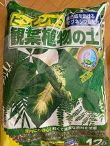 花ごころ 観葉植物の土 12l