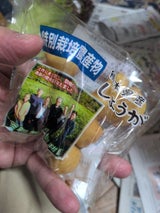 マナカ しょうが熊本 100g