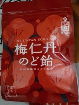 森下仁丹 梅仁丹のど飴 60g