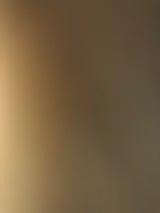 サントリー 東京クラフト スタウト 缶 350ml