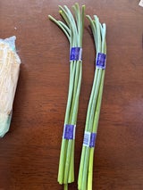 サンフレッシュ にんにくの芽 1P