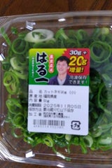 春口農園 こねぎ