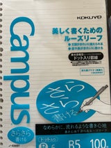 コクヨ ルーズリーフ ドット入り罫 B罫