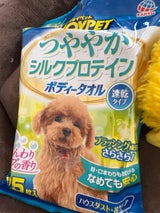 HP ボディータオル 小型犬用 25枚