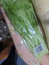 RUSH FARM みずな 1P