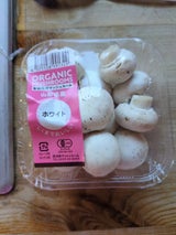 舟形 有機 ベビーベラ ブラウン 150g