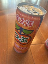 太洋食品 金大洋 粒オレンジ 250g