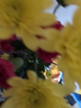 サンクス 花束 1P