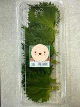 JA東三 大葉ハーフパック 5枚