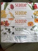 スコッティ ティシューフラワーBOX160組 5箱